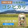 《令和6年産》【無洗米】八ヶ岳・大泉高原産 有機質肥料使用低農薬コシヒカリ「八ヶ岳の米 湧水」5kg [山梨県・峡北]：ぐりーんふぁーむ 【無洗米】八ヶ岳の米　湧水 5kg